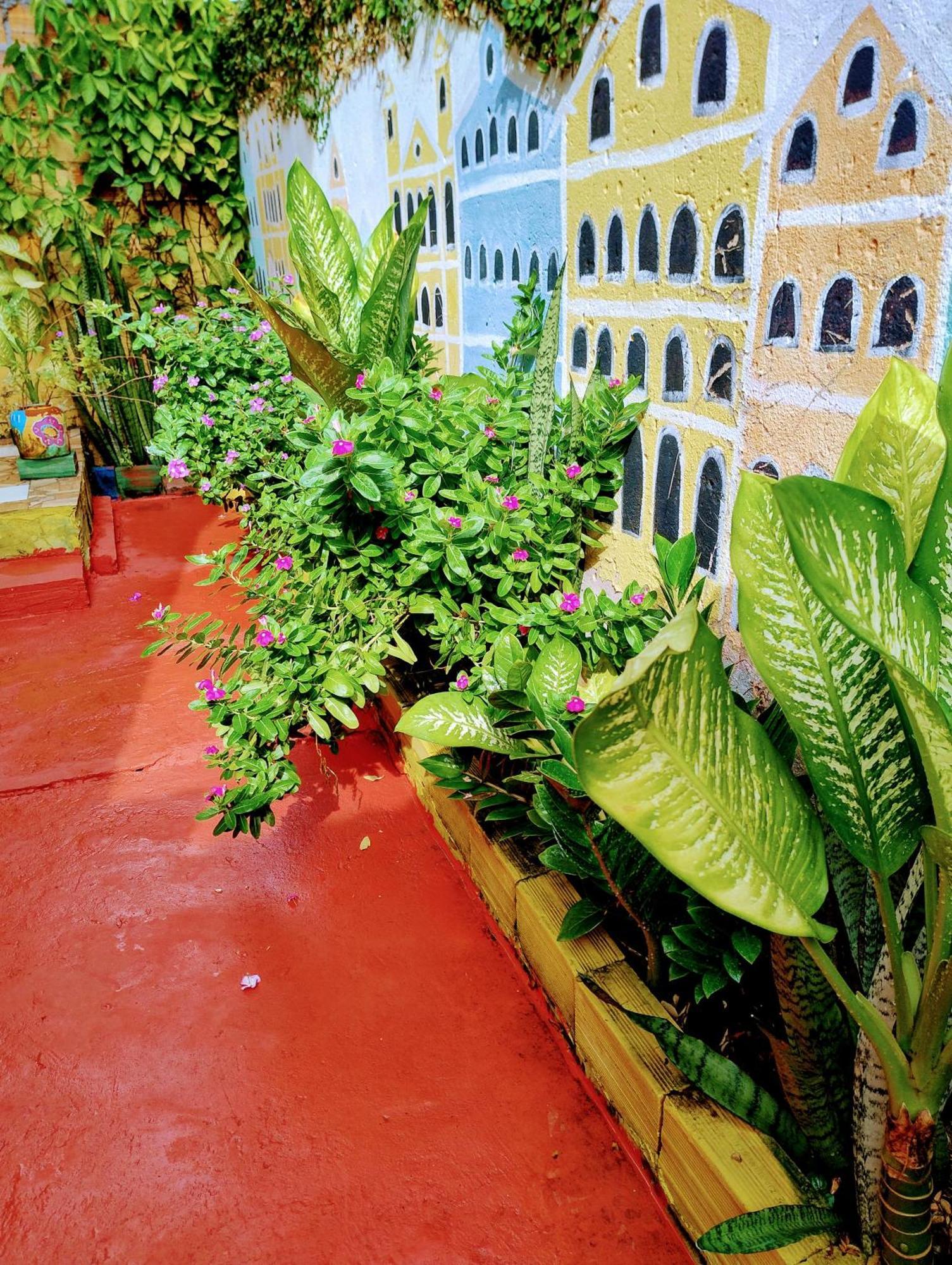 Perto Do Aeroporto De Salvador - Dona Pitanga Hostel Lauro de Freitas Eksteriør bilde