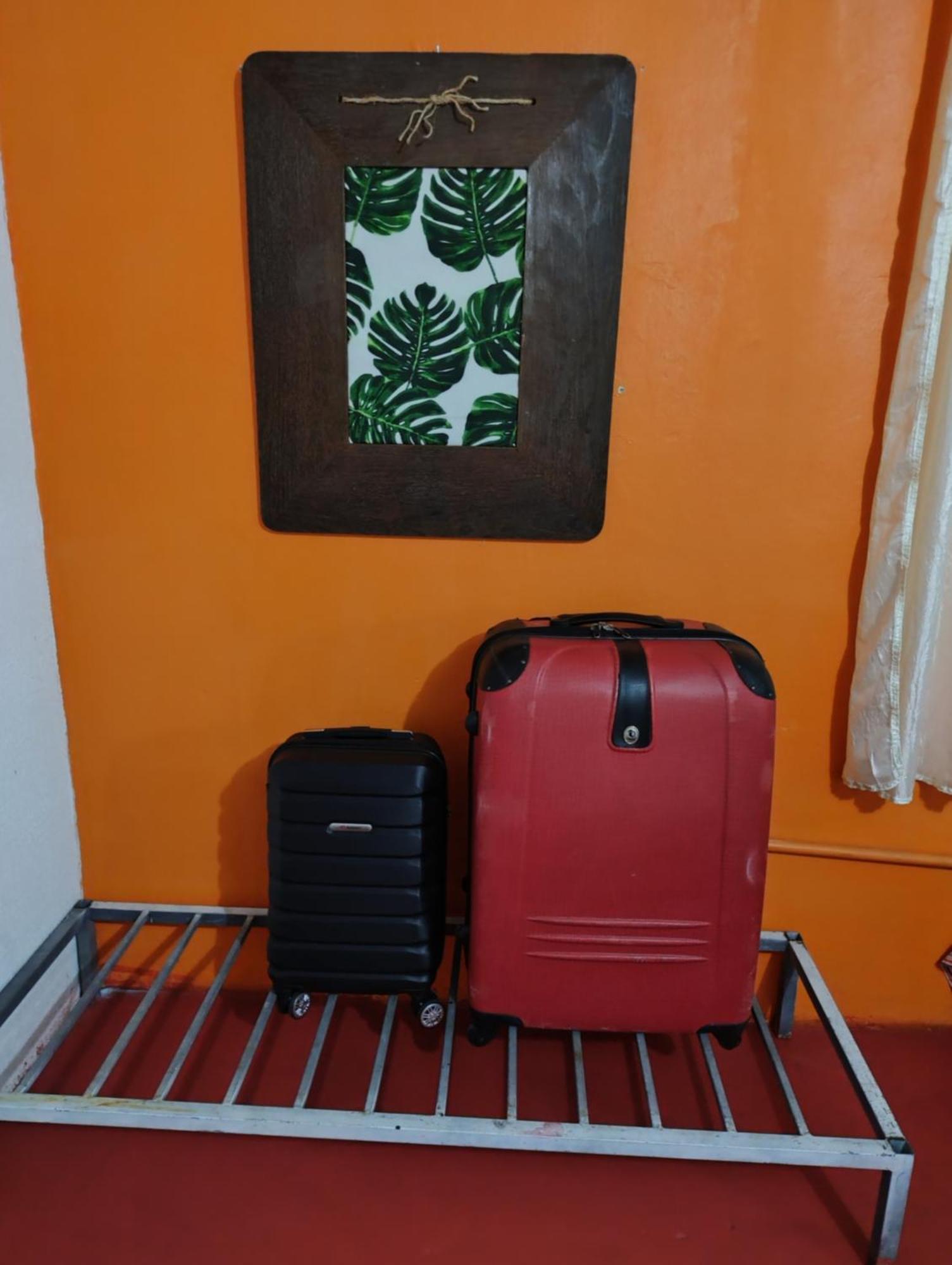 Perto Do Aeroporto De Salvador - Dona Pitanga Hostel Lauro de Freitas Eksteriør bilde